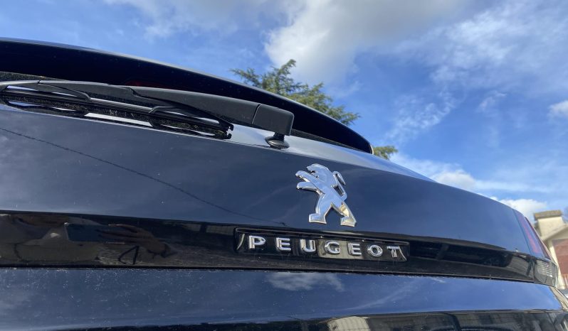 
								Peugeot 3008 completo									