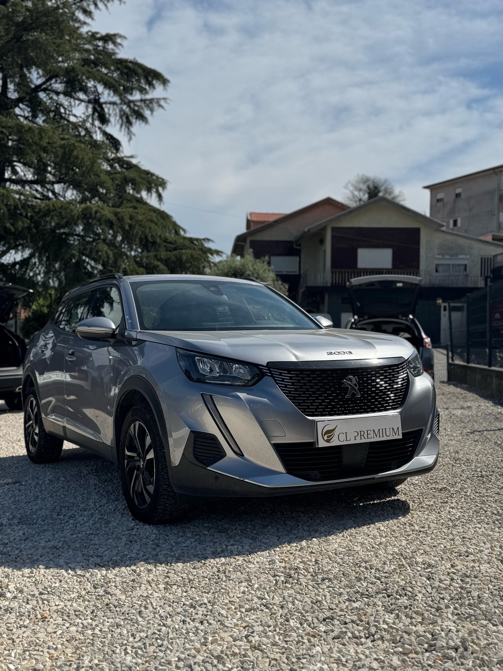 Peugeot-2008-Allure-2020-4