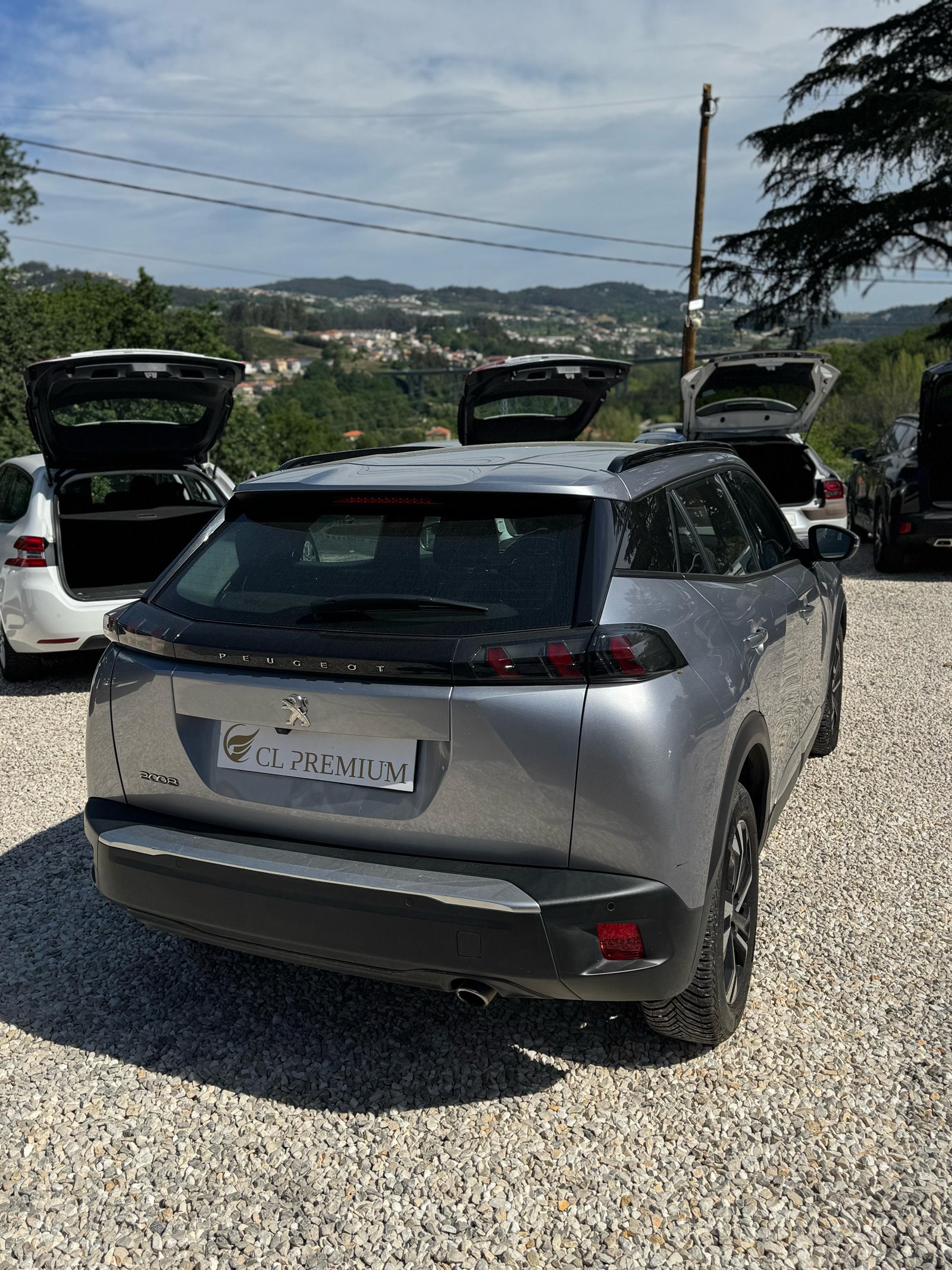 Peugeot-2008-Allure-2020-6